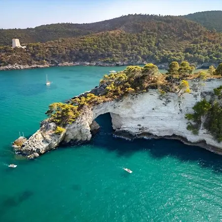 Venti Del Sud فيستَ
